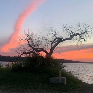 Meet your Posher, Sonia